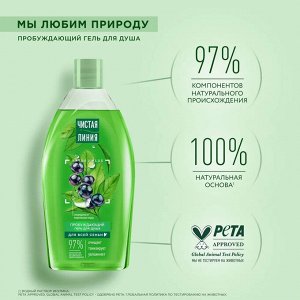 Чистая Линия Гель для Душа "Пробуждающий: Смородина и Ледниковая вода" 750 мл