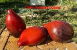 Семена томат гном Леприкон Саша 5шт