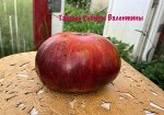 Семена томат Тайные рубины Валентины 5шт