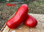 Семена томат Фляга 5шт