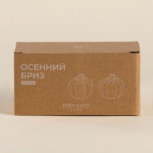 Набор для специй SL Home «Осенний бриз», 100 мл, см, доломит, белый