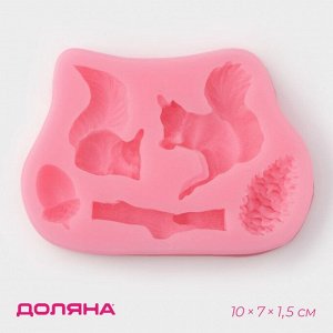 Молд Доляна «Белочка и орешки», силикон, 10x7x1,5 см, цвет розовый