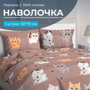 Наволочка 50*70 см, перкаль (Томми)