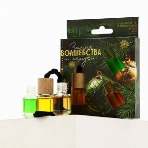 Ароматизаторы в машину новогодние «Запах волшебства и сказки», ваниль, дыня, яблоко, набор 3 шт
