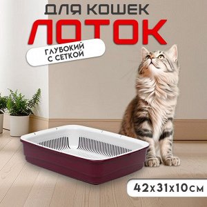 Лоток большой с сеткой Atlantis "Стандарт", 42 х 31 х 10 см, красный.