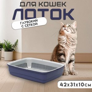 Лоток большой с сеткой Atlantis "Стандарт", 42 х 31 х 10 см, фиолетовый.