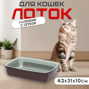 Лоток большой с сеткой Atlantis "Стандарт", 42 х 31 х 10 см, шоколад