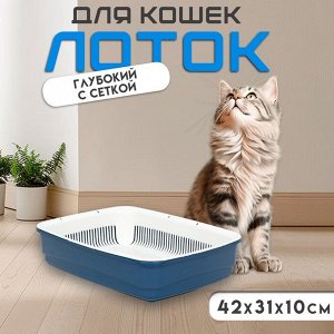 Лоток большой с сеткой Atlantis "Стандарт", 42 х 31 х 10 см, синий.