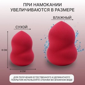 Спонж для макияжа «Амфора», 6 x 4 см, увеличивается при намокании, цвет МИКС