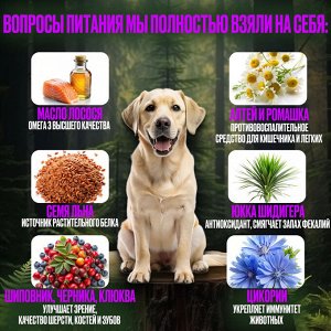 Сухой корм Wonderfur для взрослых собак с Ягненком и Рисом. 10 кг. Супер премиум. Россия