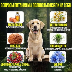 Акция по срокам Сухой  корм Wonderfur для взрослых собак с Индейкой и Рисом. 10 кг. Супер премиум. Россия