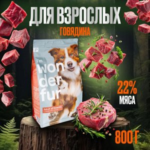 Сухой корм Wonderfur для взрослых собак с Говядиной и Рисом. 0.8 кг. Супер премиум. Россия