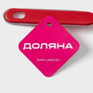 Сито для просеивания Доляна «Хозяюшка», d=18 см, цвет красный