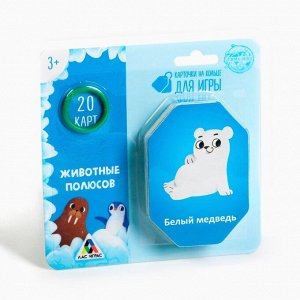 Карточки на кольце для изучения английского языка «Животные полюсов», 20 карт, кольцо, 3+