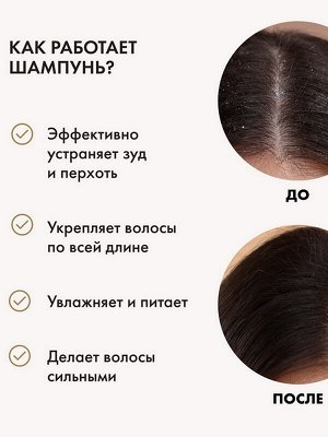 Шампунь для волос против перхоти Черный 350мл на берёзовом дёгте и