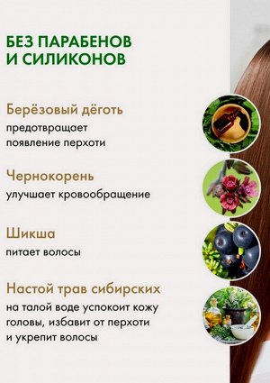 Шампунь для волос против перхоти Черный 350мл на берёзовом дёгте и