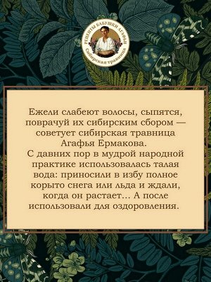 Шампунь для волос против перхоти Черный 350мл на берёзовом дёгте и