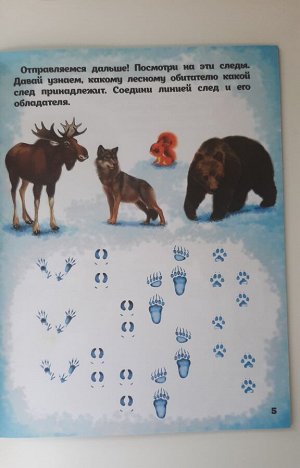 Приключения в лесу. Зимний квест