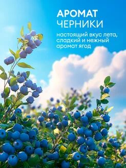 Жидкое мыло "Milana эконом" (черника) ПЭТ 5кг.