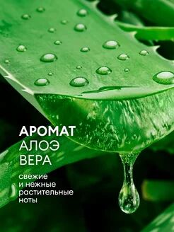 Крем-мыло жидкое увлажняющее "Milana алоэ вера" (канистра 5 кг)