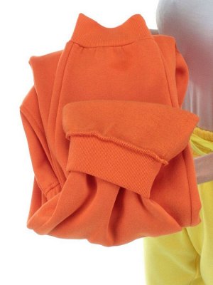 M053 ORANGE Брюки спортивные женские на флисе (100% хлопок) 7986