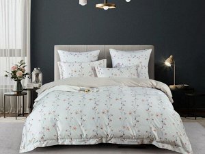 Комплект постельного белья Евро, египетский хлопок Premium 2119-6