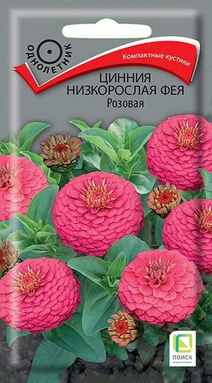 Цинния Фея розовая (Код: 84397)