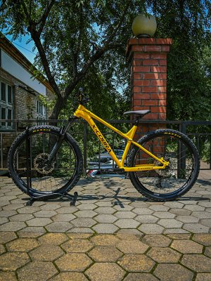 Кастомный трейлоый велосипед X-COBRA 587. 29. L