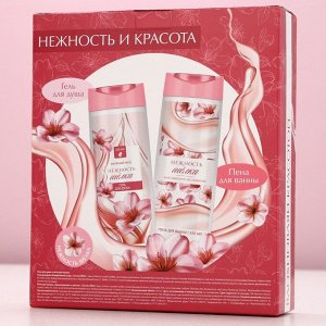 Подарочный набор косметики «Нежность и красота», гель для душа и пена для ванны, 2 х 250 мл, ЧИСТОЕ СЧАСТЬЕ
