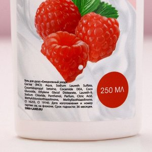 Подарочный набор косметики «Ярких моментов!», гель для душа 250 мл и бомбочки для ванны 4x40 г, Чистое счастье