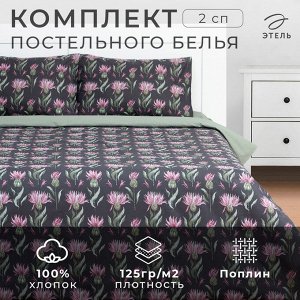 Постельное бельё 2-спальное «Этель. Артишок», поплин