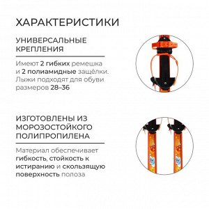 Комплект лыжный детский: лыжи 100 см, палки 100 см