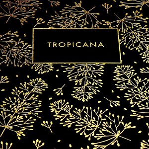 Ежедневник недатированный A5, 136 листов, deVENTE. Tropicana, твёрдая обложка из искусственной кожи, тиснение фольгой, перфорация, ляссе, блок 70 г/м², чёрный