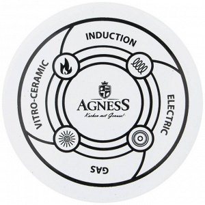 Эмалированный чайник AGNESS "Гуси" 2,5 л — стильный подарок для любой кухни, подходит для индукционных плит, 1 шт.