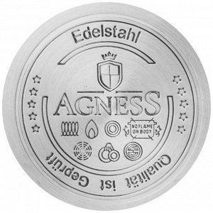 Чайник AGNESS Fantasy 3.0 л с термоаккумулирующим дном и свистком, нержавеющая сталь, для всех типов плит, 1 шт.