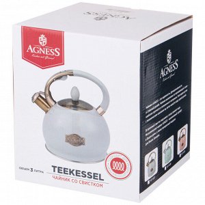Чайник AGNESS Tudor с термоаккумулирующим дном для индукции, нержавеющая сталь, со свистком, 1 шт.