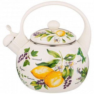 Эмалированный чайник AGNESS Secret Ingredients 2,2 л со свистком и индукционным дном — эксклюзивный дизайн, идеален для подарка, 1 шт.