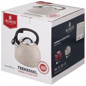 Чайник AGNESS Premium Steel 2,5 л со свистком и индукционным дном, стильный дизайн, нержавеющая сталь, 1 шт.