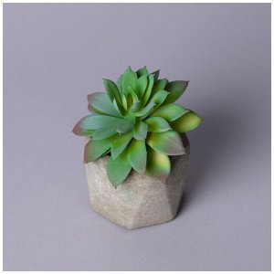 Искусственный суккулент в горшке 13x13 см, 1 шт.