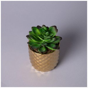 Искусственный суккулент в горшке 9x13 см, 1 шт.