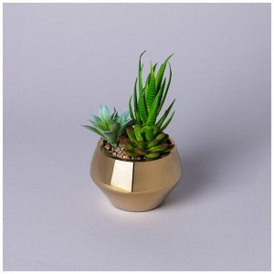 Искусственный суккулент в горшке 11x15 см, 1 шт.