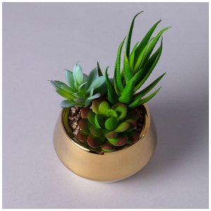 Искусственный суккулент в горшке 11x15 см, 1 шт.