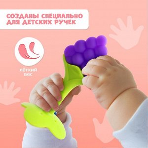Прорезыватели для зубов, набор 4 шт., щётка, прорезыватель на руку, фрукт