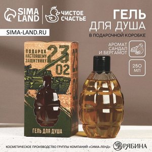 Гель для душа HARD LINE «23 Февраля», 250 мл, аромат мяты и лимона