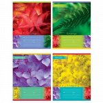 Тетрадь 24л линия &quot;Floral&quot; 6907 BG {Россия}