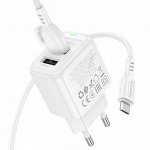 Сетевое зарядное устройство с кабелем Micro-USB/Type-C BOROFONE BAS41A 12W 2*USB 2.4A EU