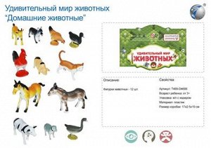 01-1 NC набор домашних животных, в пакете 445149,489-4686