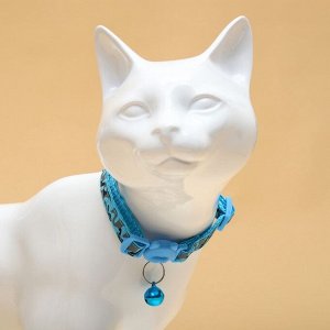Ошейник кошачий Пижон "Котофляж", с бубенчиком, 30 х 1 см, полиэстер, голубой