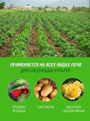 Удобрение жидкое Биогумус, органоминеральное, "Бочка и четыре ведра", Огородник,  0,6л