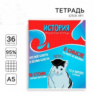 Тетрадь предметная А5, 36 л на скрепке «1 сентября: Мемы. История»